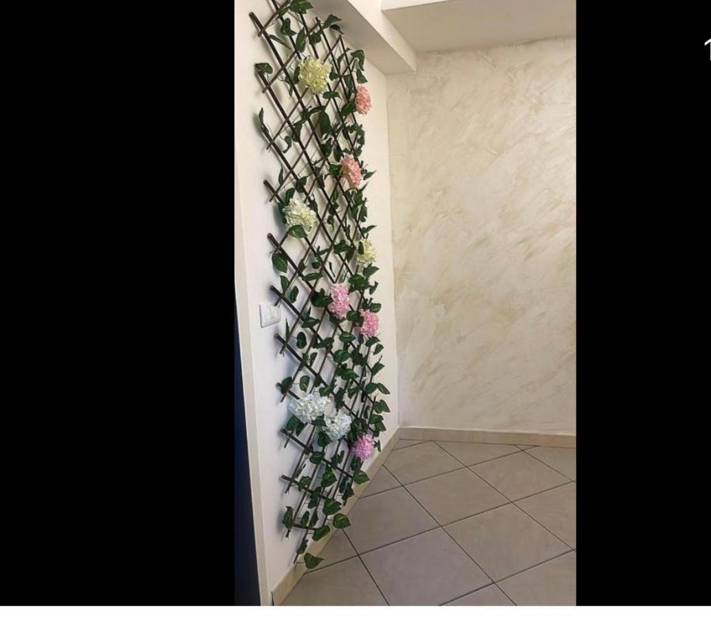 Holiday House Plebiscito 卡塔尼亚 外观 照片